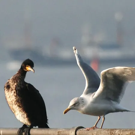 Haus Am מלון שרבאוץ