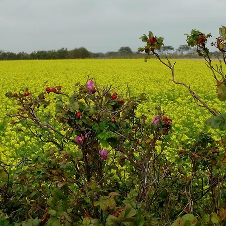 Haus Am 3* שרבאוץ