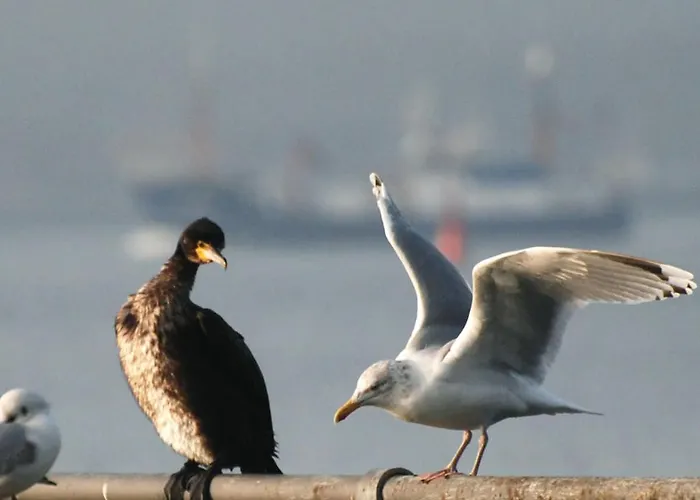Haus Am Hotel Scharbeutz