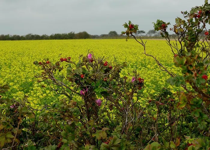 Haus Am 3* Scharbeutz